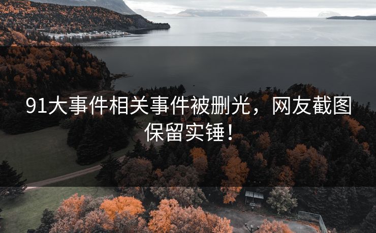 91大事件相关事件被删光，网友截图保留实锤！