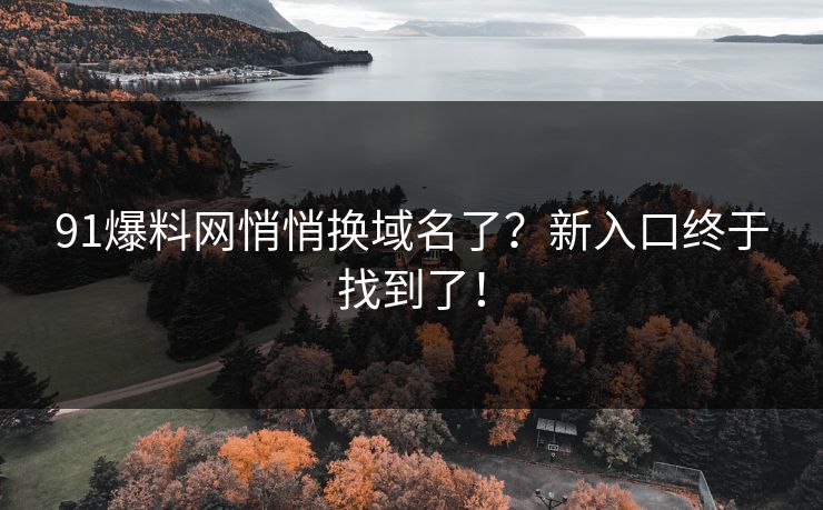 91爆料网悄悄换域名了？新入口终于找到了！
