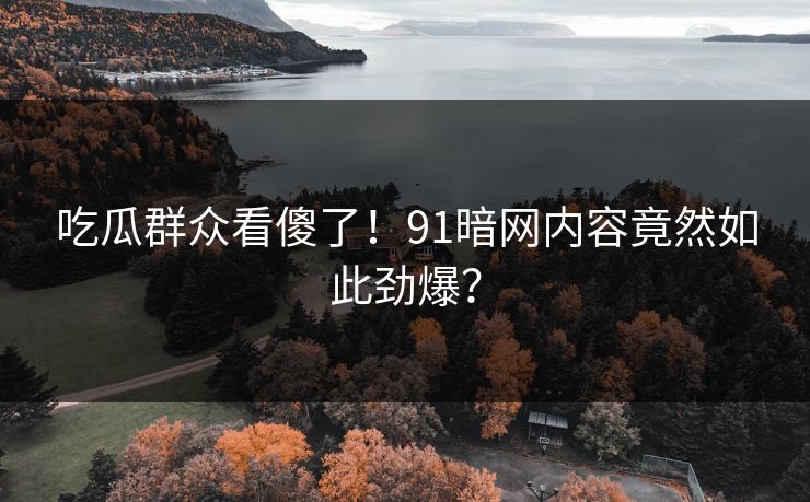 吃瓜群众看傻了！91暗网内容竟然如此劲爆？