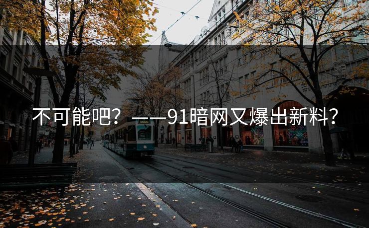 不可能吧？——91暗网又爆出新料？