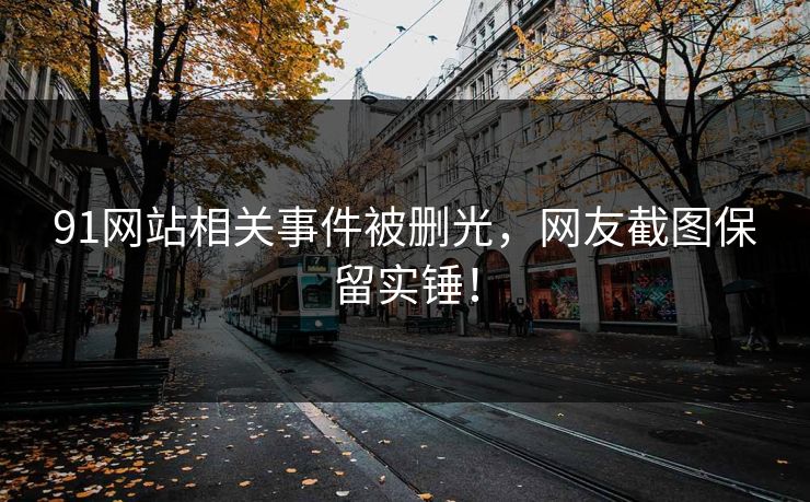 91网站相关事件被删光，网友截图保留实锤！