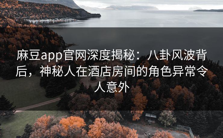 麻豆app官网深度揭秘：八卦风波背后，神秘人在酒店房间的角色异常令人意外