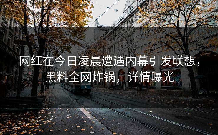 网红在今日凌晨遭遇内幕引发联想，黑料全网炸锅，详情曝光