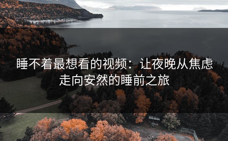 睡不着最想看的视频：让夜晚从焦虑走向安然的睡前之旅