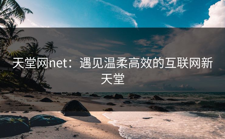 天堂网net：遇见温柔高效的互联网新天堂